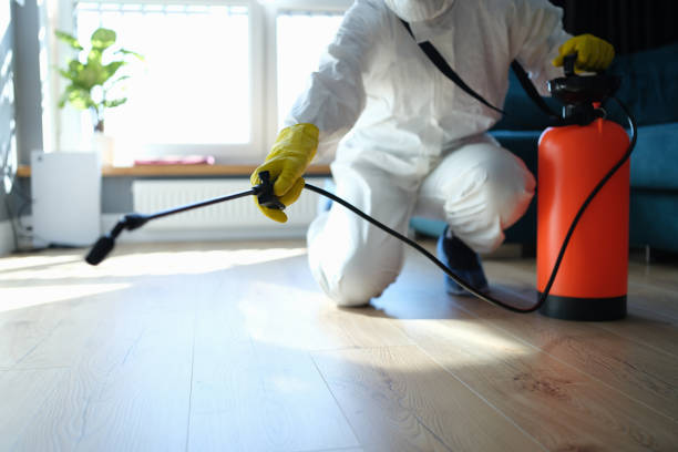 Reliable Hoarding Cleanup contractor in Brandon, FL by Dulley Family Biohazard Services